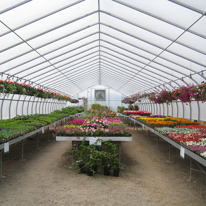 Gothic-style freestanding commercial greenhouse